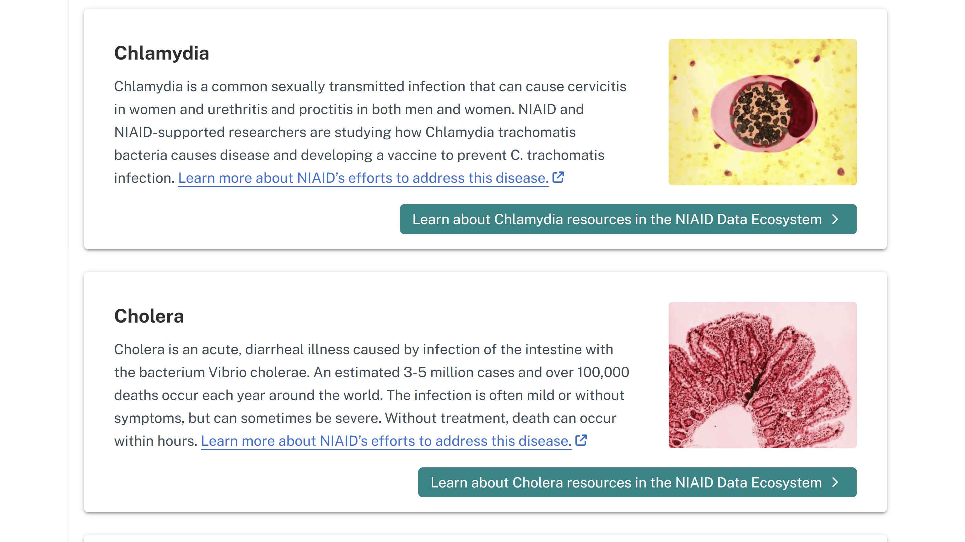 Screenshot of Diseases and Conditions page