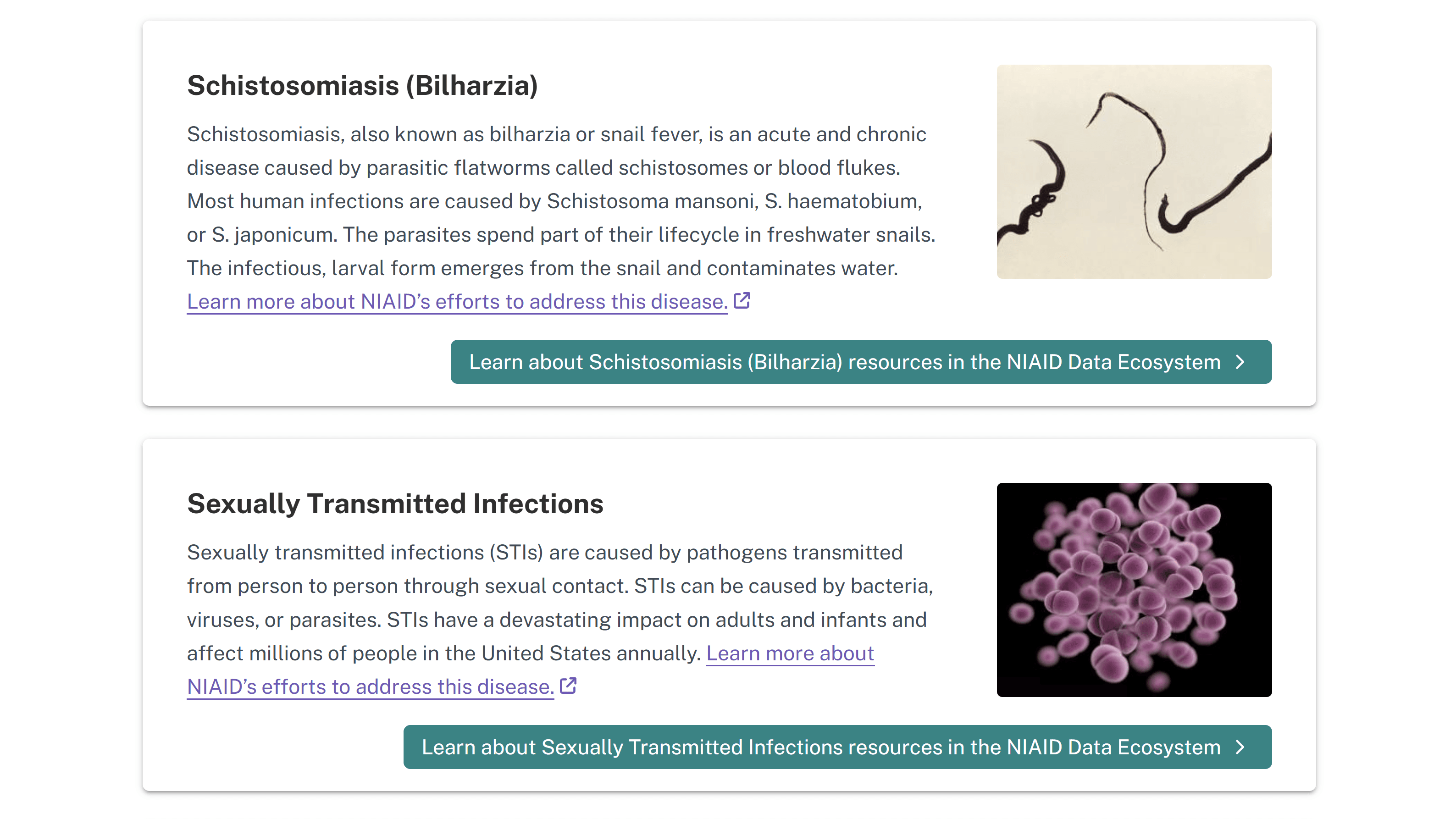 Screenshot of Diseases and Conditions page